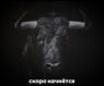 Sapfira